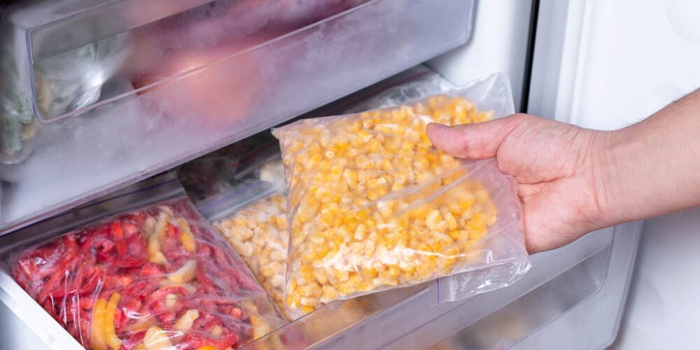 best-freezer-bags-for-keeping-food-fresh-and-safe-archute